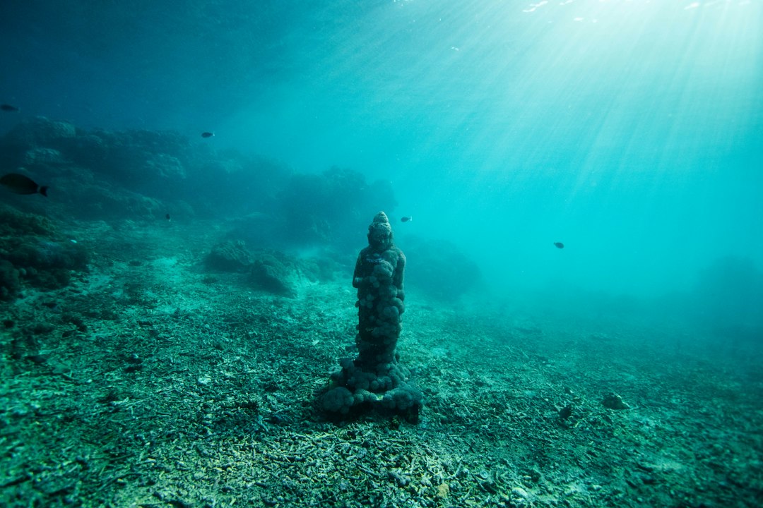 Symbolbild einer Unterwasserfundstelle für den Beitrag über die neuen archäologischen Funde vor Poompuhar